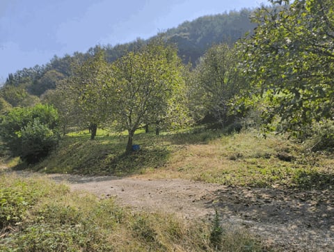 물건 사진 15