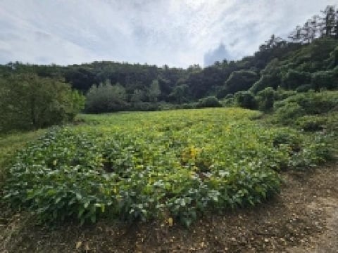 물건 사진 7