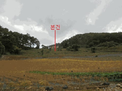물건 사진 3