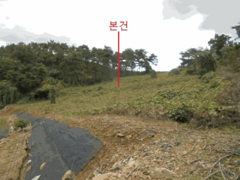 물건 사진 9
