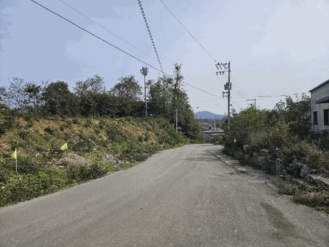 물건 사진 12