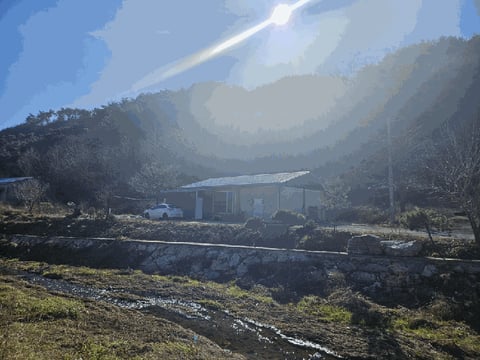 물건 사진 14