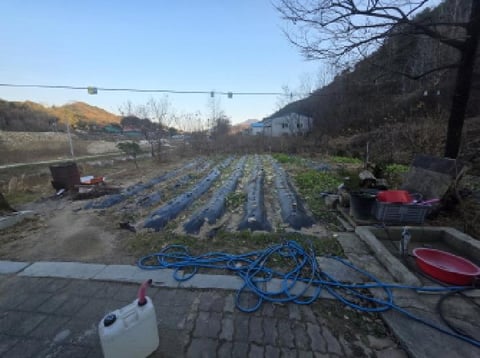 물건 사진 10