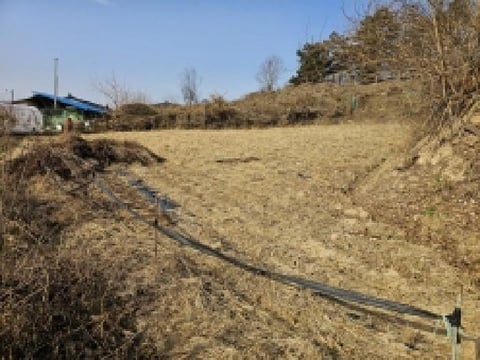 물건 사진 1