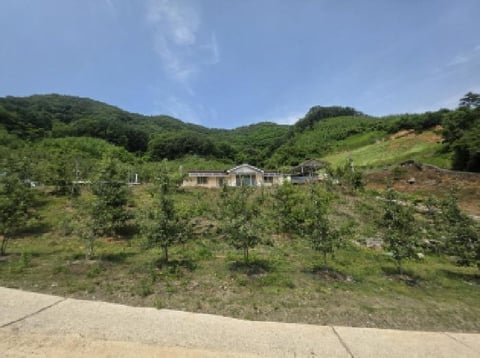 물건 사진 2