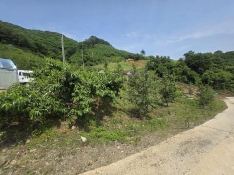물건 사진 3