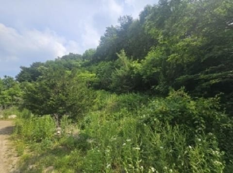 물건 사진 12