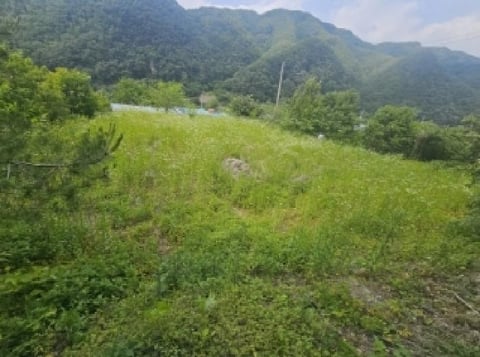 물건 사진 13