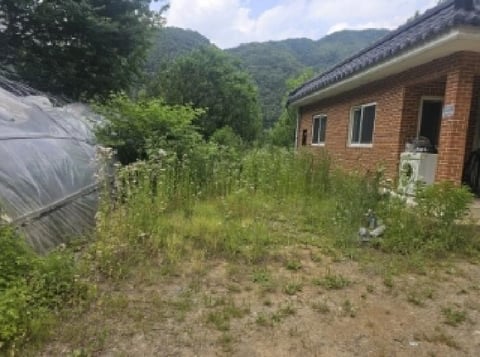 물건 사진 4