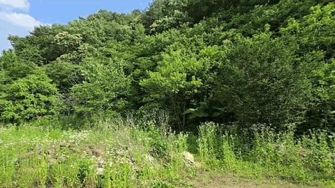 물건 사진 32