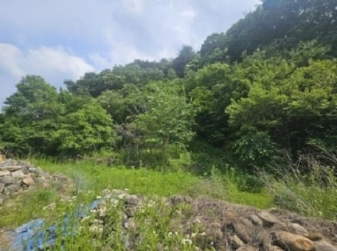물건 사진 9