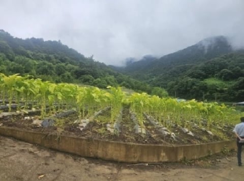 물건 사진 12