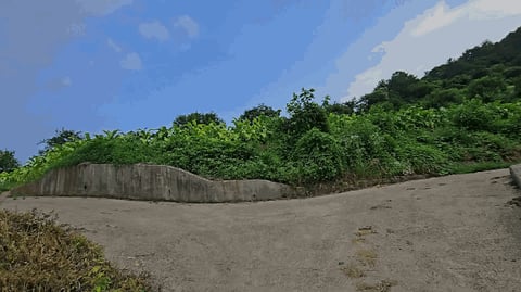 물건 사진 16
