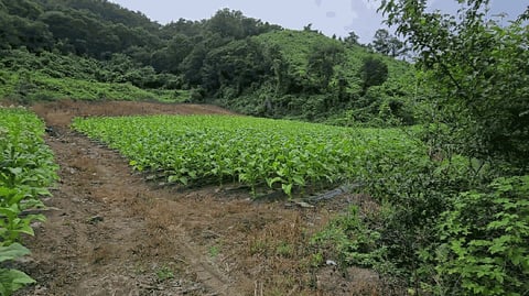 물건 사진 17