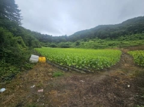 물건 사진 4