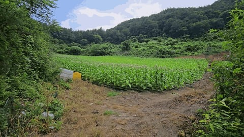 물건 사진 15