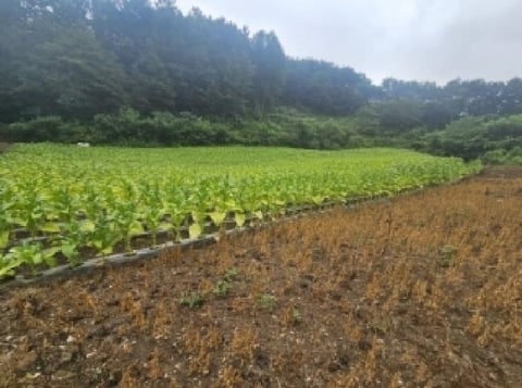 물건 사진 3