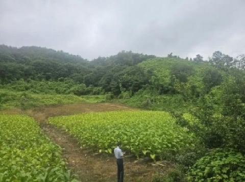 물건 사진 7