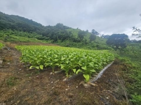 물건 사진 8
