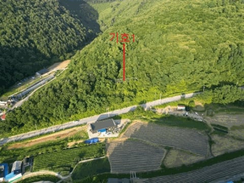 물건 사진 103