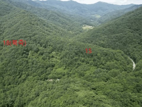 물건 사진 120