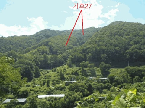 물건 사진 125