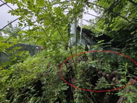 물건 사진 18