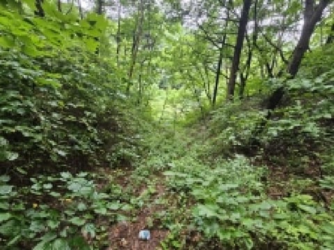 물건 사진 37