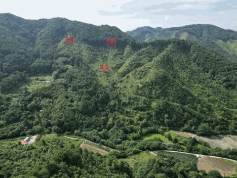 물건 사진 105