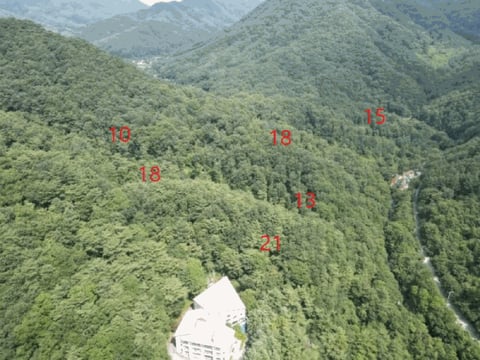 물건 사진 112