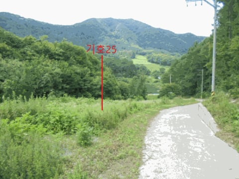 물건 사진 115
