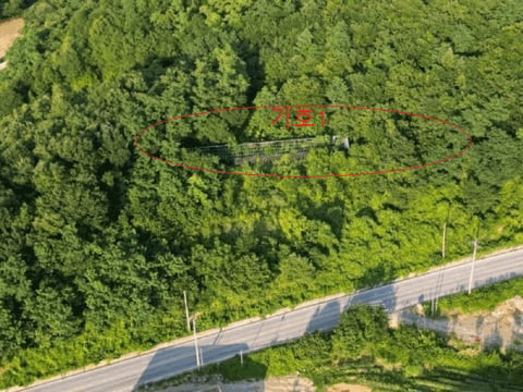 물건 사진 116