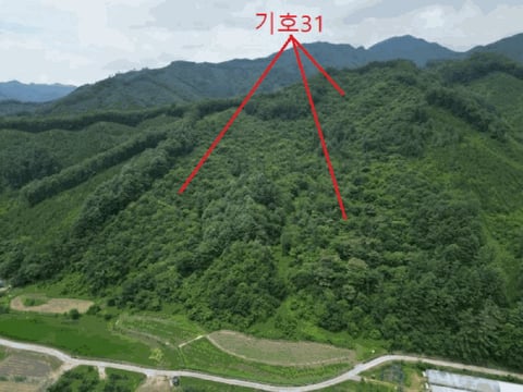 물건 사진 122