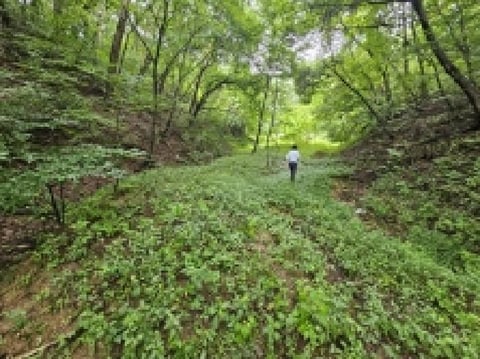 물건 사진 40