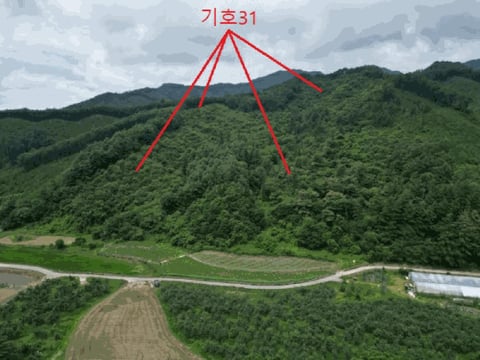 물건 사진 88