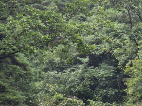 물건 사진 10