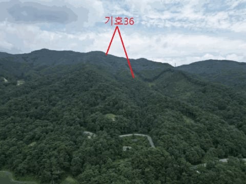 물건 사진 91