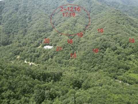 물건 사진 114