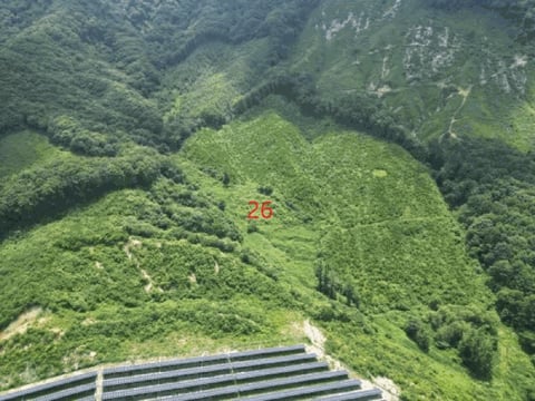 물건 사진 117