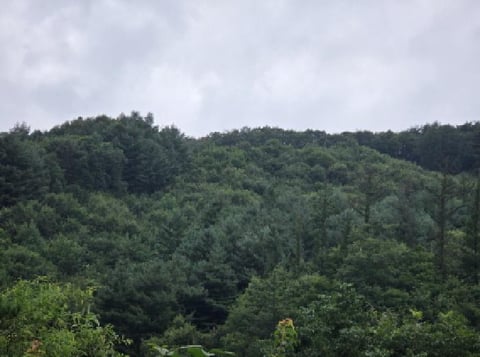 물건 사진 13