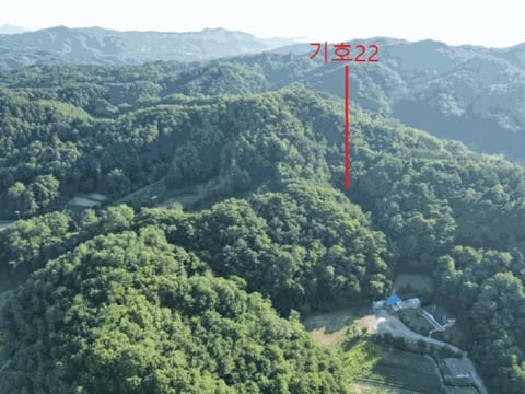 물건 사진 124