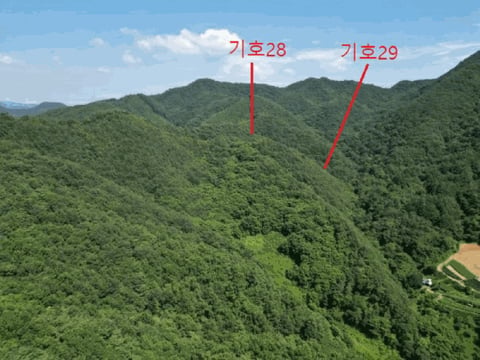 물건 사진 128