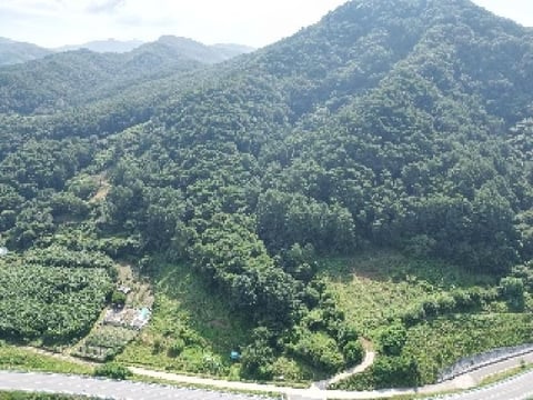 물건 사진 34