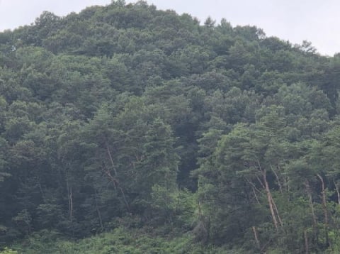 물건 사진 42