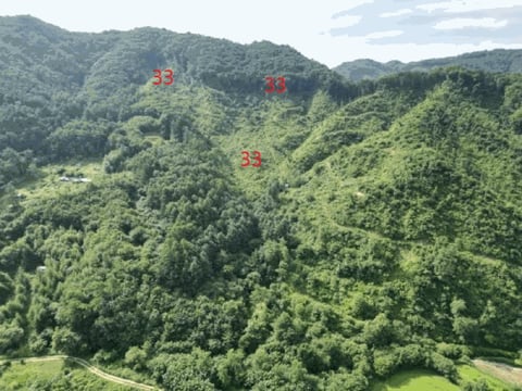 물건 사진 84