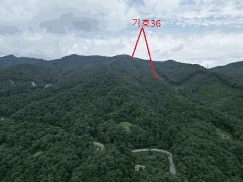 물건 사진 85