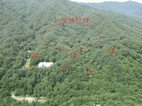 물건 사진 93