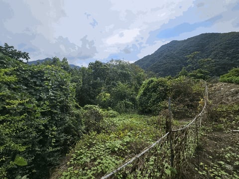 물건 사진 8