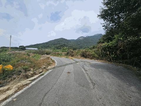 물건 사진 10