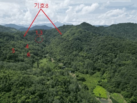 물건 사진 16